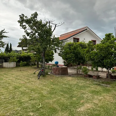 Zefi Rrenc Bed & Breakfast 3*