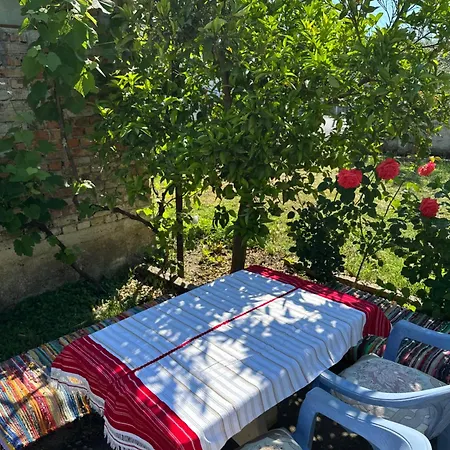 Bed & Breakfast Zefi Rrenc