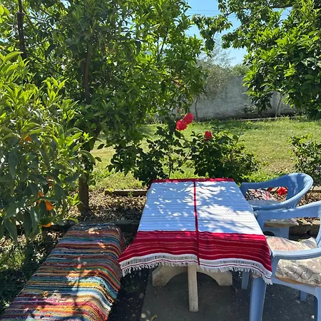 Bed & Breakfast Zefi Rrenc