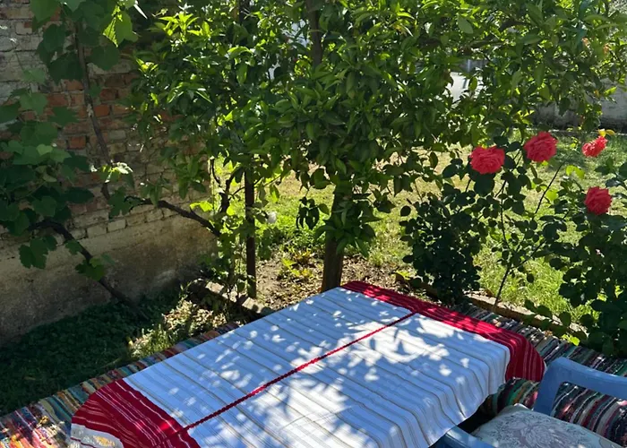 فندق مبيت وإفطار Zefi Rrenc